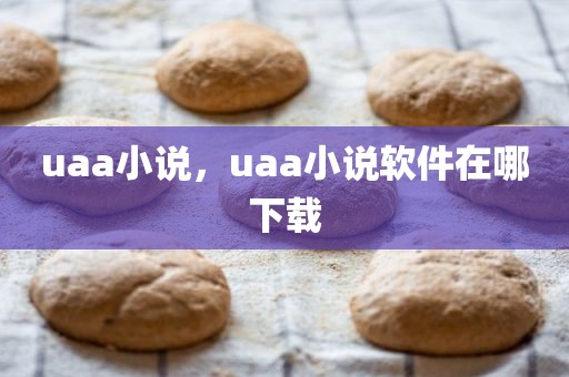 uaa小说，uaa小说软件在哪下载