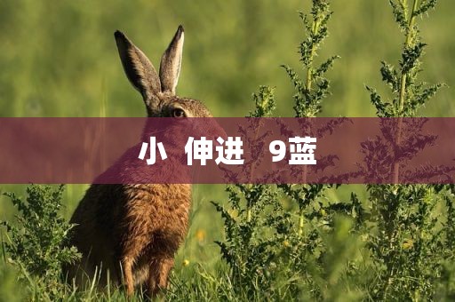小  伸进   9蓝