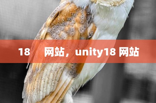 18     网站，unity18 网站