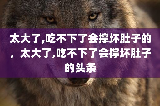太大了,吃不下了会撑坏肚子的，太大了,吃不下了会撑坏肚子的头条