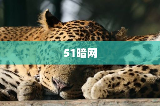 51暗网