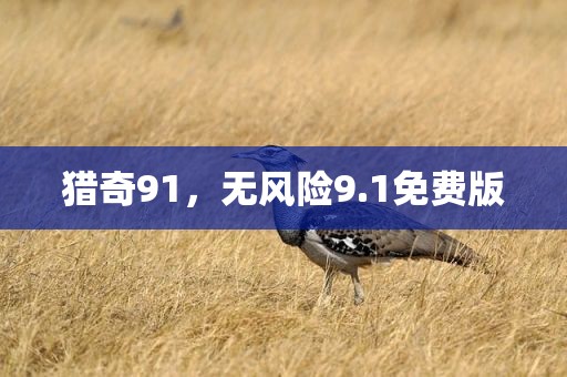 猎奇91，无风险9.1免费版