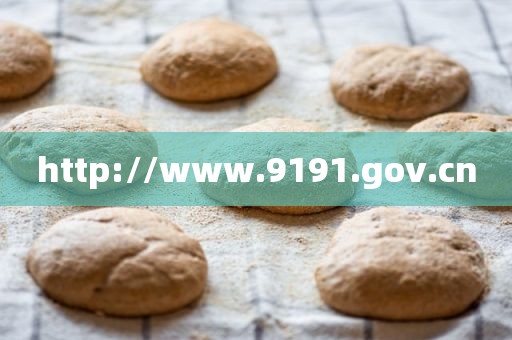http://www.9191.gov.cn