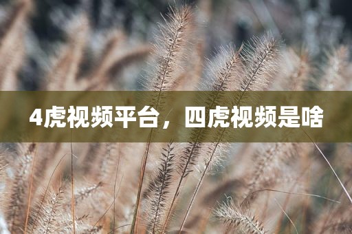 4虎视频平台，四虎视频是啥