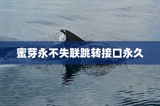 蜜芽永不失联跳转接口永久