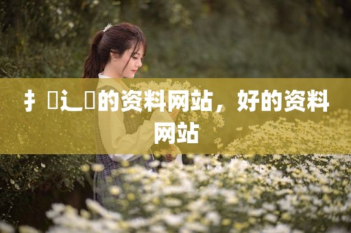 扌臿辶畐的资料网站，好的资料网站
