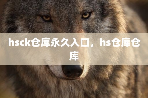 hsck仓库永久入口，hs仓库仓库