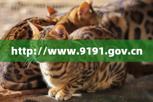 http://www.9191.gov.cn