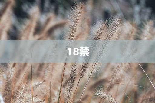 18禁