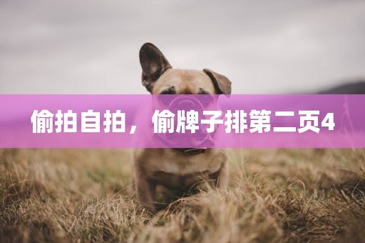 偷拍自拍，偷牌子排第二页4