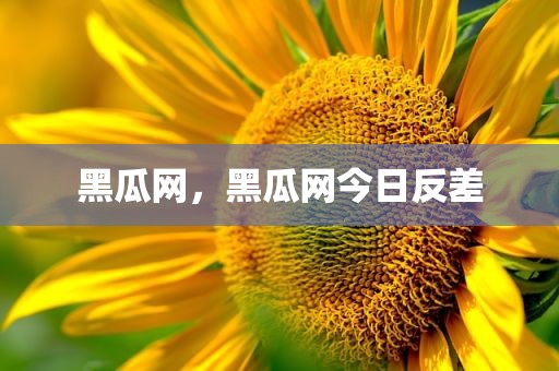 黑瓜网，黑瓜网今日反差