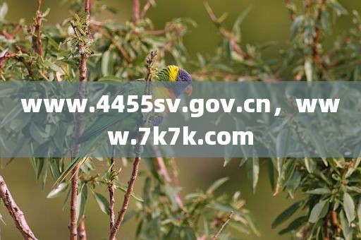 www.4455sv.gov.cn，www.7k7k.com