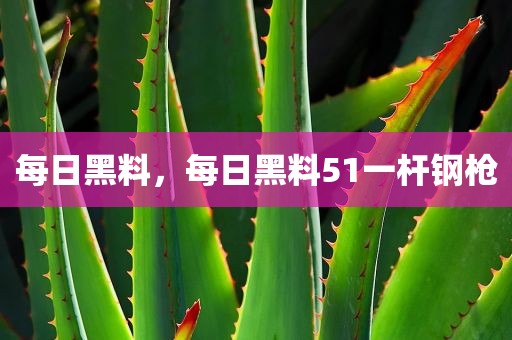 每日黑料，每日黑料51一杆钢枪
