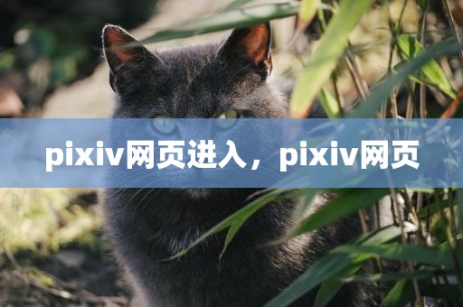 pixiv网页进入，pixiv网页