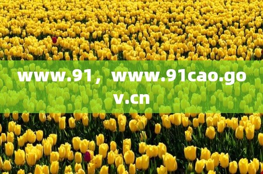 www.91，www.91cao.gov.cn