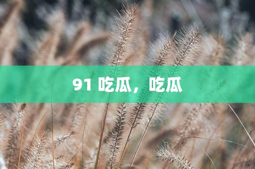 91 吃瓜，吃瓜