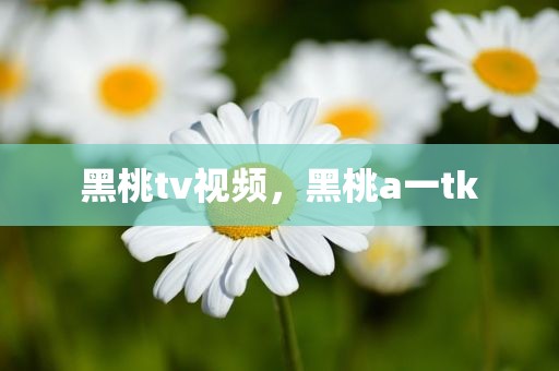 黑桃tv视频，黑桃a一tk