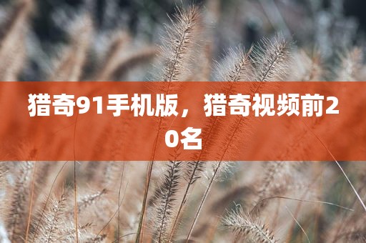 猎奇91手机版，猎奇视频前20名
