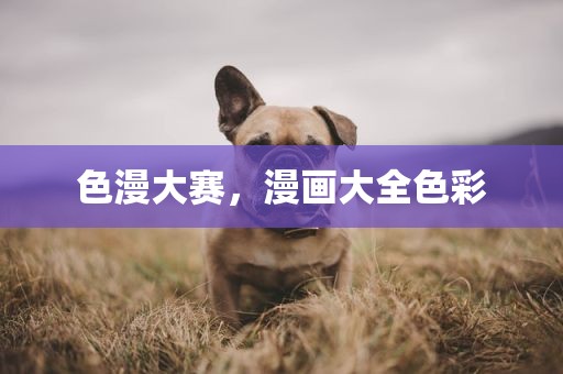 色漫大赛，漫画大全色彩