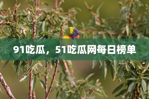 91吃瓜，51吃瓜网每日榜单