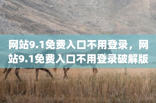 网站9.1免费入口不用登录，网站9.1免费入口不用登录破解版