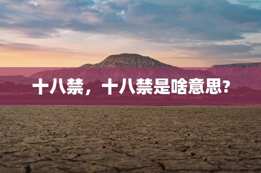 十八禁，十八禁是啥意思?