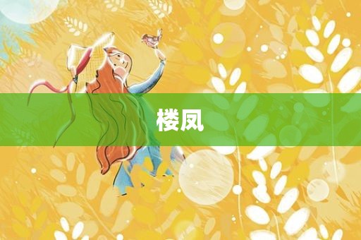 楼凤