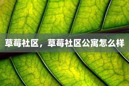 草莓社区，草莓社区公寓怎么样
