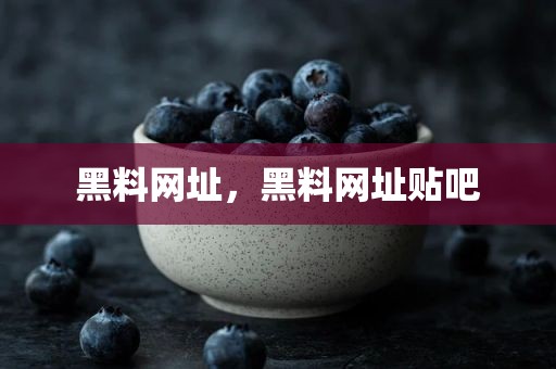 黑料网址，黑料网址贴吧