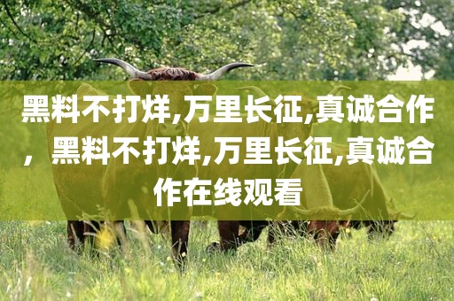 黑料不打烊,万里长征,真诚合作，黑料不打烊,万里长征,真诚合作在线观看