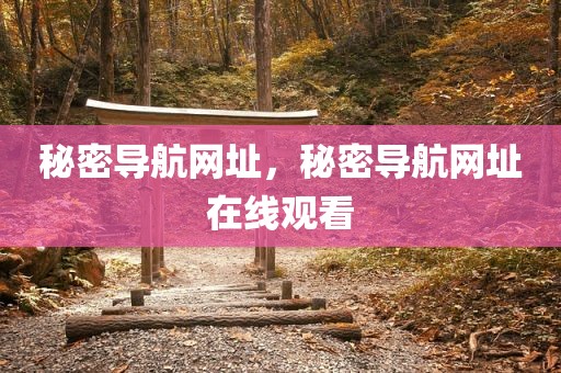 秘密导航网址，秘密导航网址在线观看