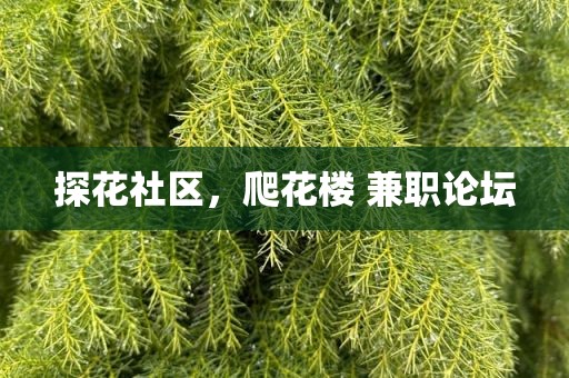 探花社区，爬花楼 兼职论坛