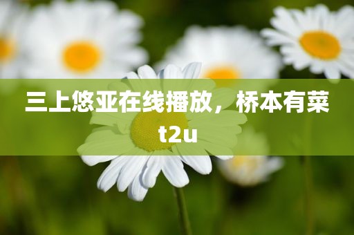 三上悠亚在线播放，桥本有菜t2u