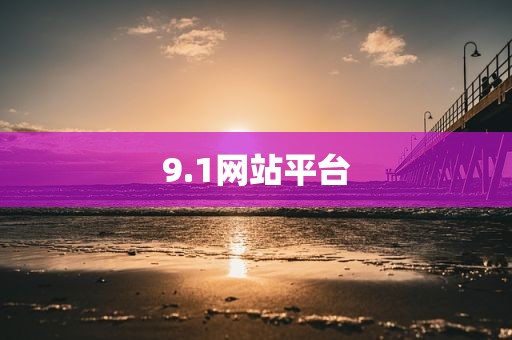 9.1网站平台
