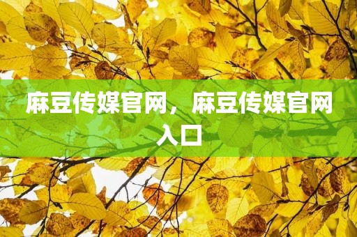 麻豆传媒官网，麻豆传媒官网入囗