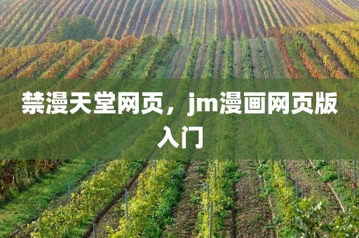 禁漫天堂网页，jm漫画网页版入门