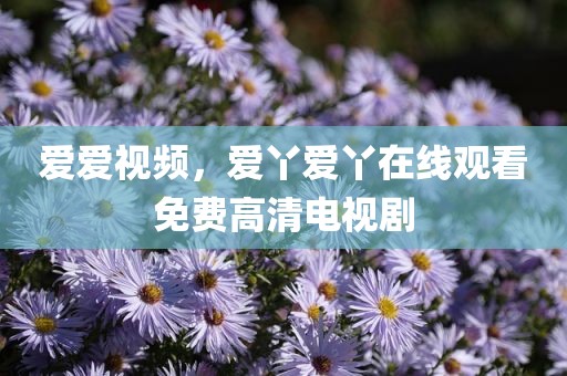 爱爱视频，爱丫爱丫在线观看免费高清电视剧