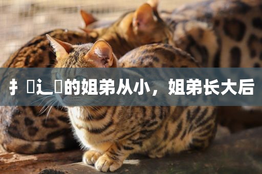扌臿辶畐的姐弟从小，姐弟长大后