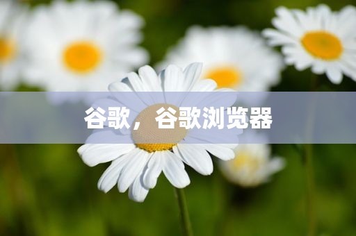 谷歌，谷歌浏览器