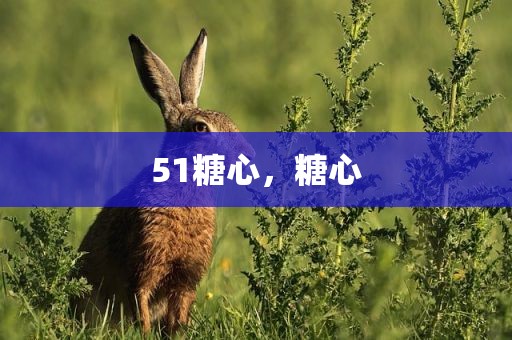 51糖心，糖心