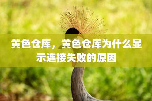 黄色仓库，黄色仓库为什么显示连接失败的原因