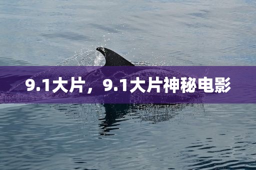 9.1大片，9.1大片神秘电影