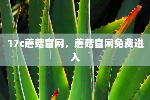 17c蘑菇官网，蘑菇官网免费进入