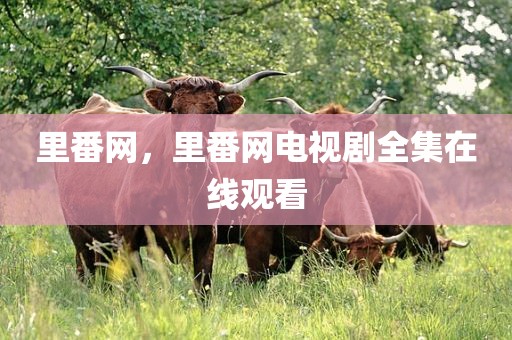 里番网，里番网电视剧全集在线观看
