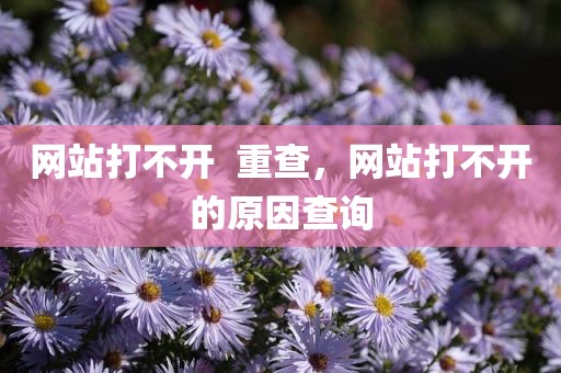 网站打不开  重查，网站打不开的原因查询