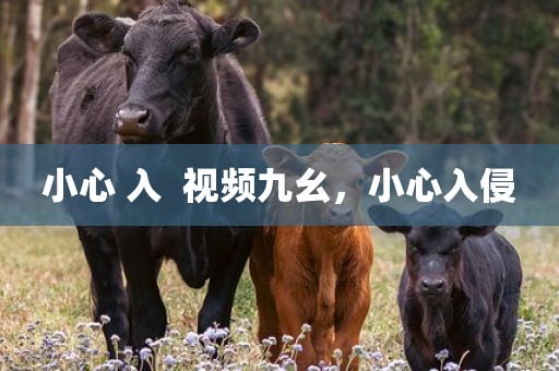 小心 入  视频九幺，小心入侵