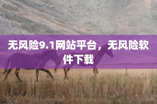 无风险9.1网站平台，无风险软件下载