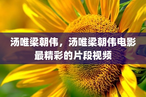 汤唯梁朝伟，汤唯梁朝伟电影最精彩的片段视频