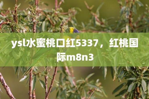 ysl水蜜桃口红5337，红桃国际m8n3