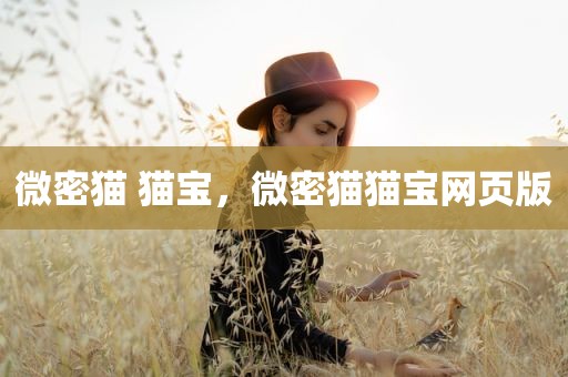 微密猫 猫宝，微密猫猫宝网页版